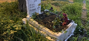 Taksicilerden vefa...Ölen muhabbet kuşları için mini mezar yaptılar
Bursalı taksiciler duraklarının yanına mini mezarlık yaparak Berduşun anısını yaşatıyorlar