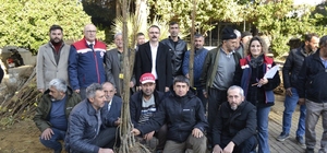 Sultanhisar'da üreticiye kestane ve incir fidesi dağıtıldı