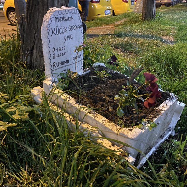 Taksicilerden vefa...Ölen muhabbet kuşları için mini mezar yaptılar
Bursalı...