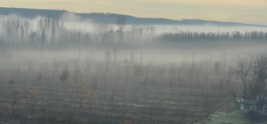 Dicle Vadisi'nde sis manzarası