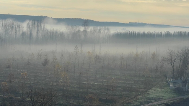Dicle Vadisi'nde sis manzarası