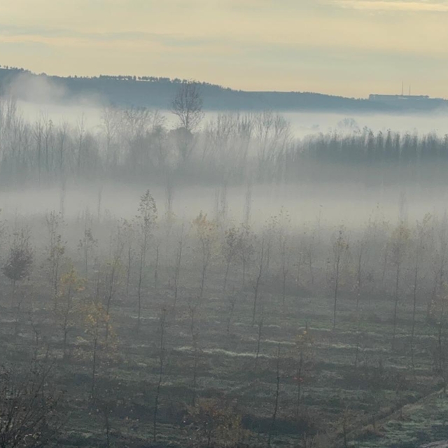 Dicle Vadisi'nde sis manzarası