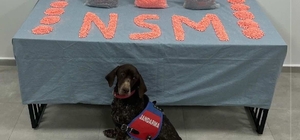 Denizli’de jandarma narkotik ekipleri zehir tacirlerine göz açtırmıyor
Jandarma narkotik ekiplerinin başarılı operasyonunda 28 bin adet uyuşturucu hap ele geçirildi