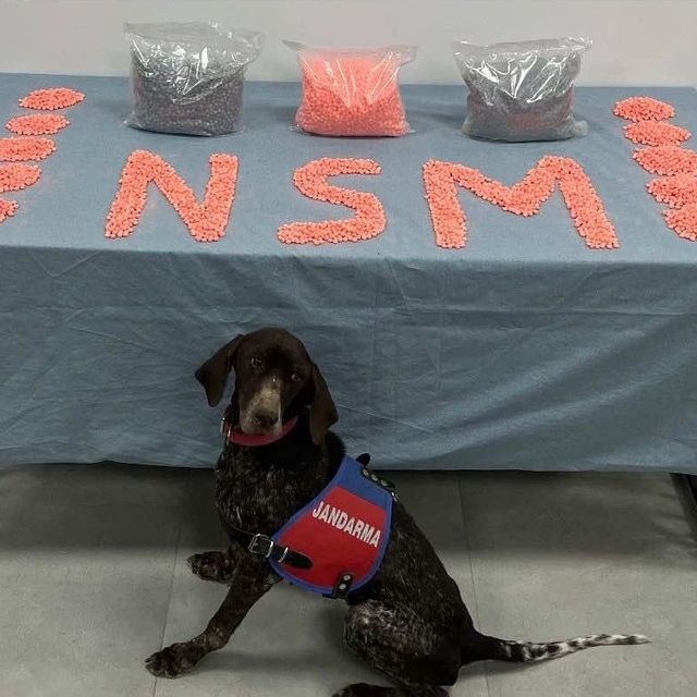 Denizli'de jandarma narkotik ekipleri zehir tacirlerine göz açtırmıyor
Jand...