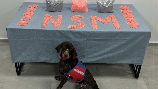 Denizli'de jandarma narkotik ekipleri zehir tacirlerine göz açtırmıyor
Jandarma narkotik ekiplerinin başarılı operasyonunda 28 bin adet uyuşturucu hap ele geçirildi