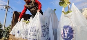 Nazilli Belediyesi'nin dağıttığı binlerce ağaç fidanı kısa sürede tükendi
Yeşeren Topraklar projesine vatandaşlar yoğun ilgi gösterdi