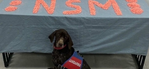 Merkezefendi'de uyuşturucu operasyonunda yakalanan zanlı tutuklandı