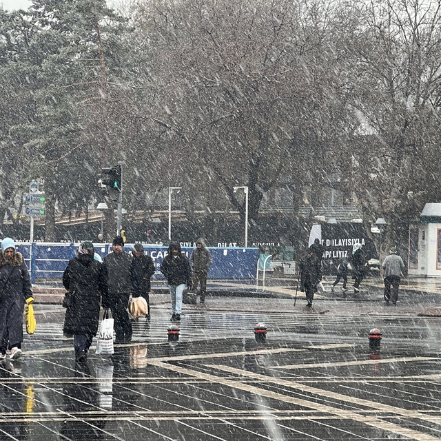 Kayseri'de kar yağışı etkili oldu