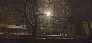 Erciş'te kar yağışı