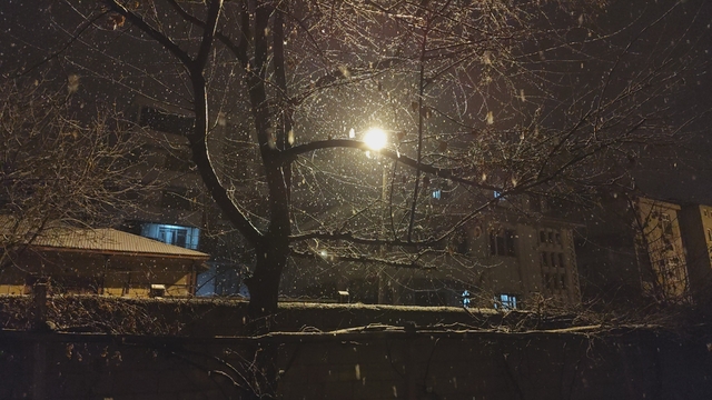 Erciş'te kar yağışı