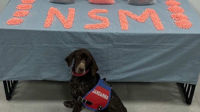 Merkezefendi'de uyuşturucu operasyonunda yakalanan zanlı tutuklandı