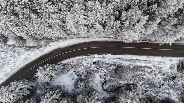 Bolu ormanlarında kar manzarası