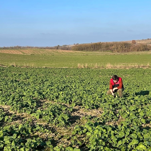 Kırklareli'nde kanola gelişimi inceleniyor