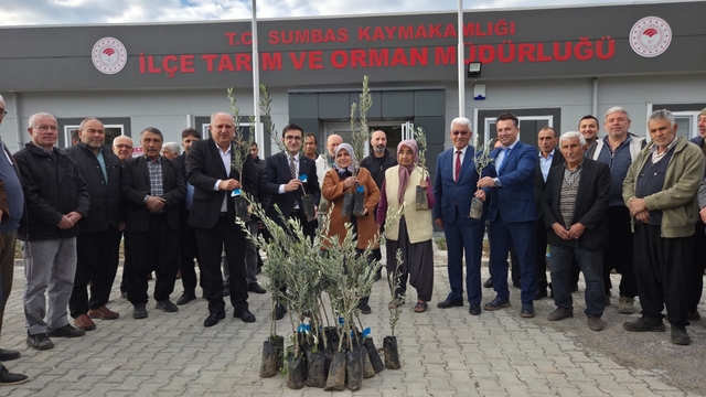 Sumbas ilçesinde çiftçilere 10 bin zeytin fidanı dağıtıldı