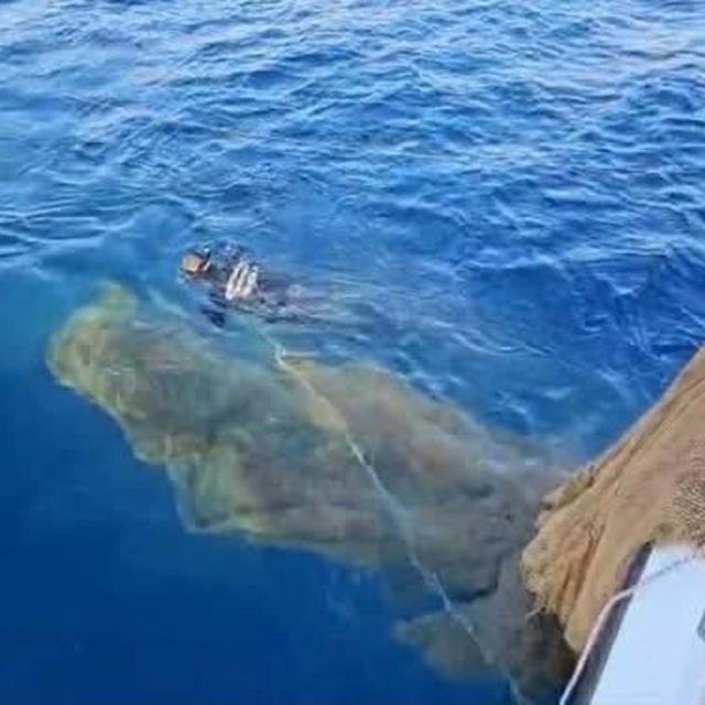 Muğla'da denizde hayalet ağ temizliği