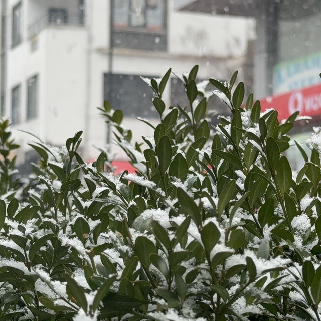 Tatvan'da kar yağışı