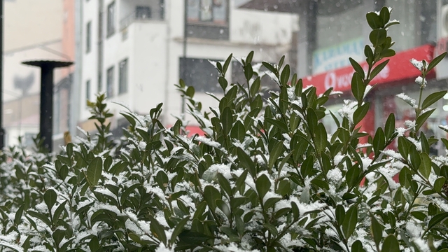 Tatvan'da kar yağışı