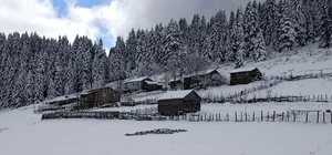 Ordu’nun yüksekleri beyaza büründü