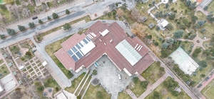 Ulu çınarların yuvası yenileniyor