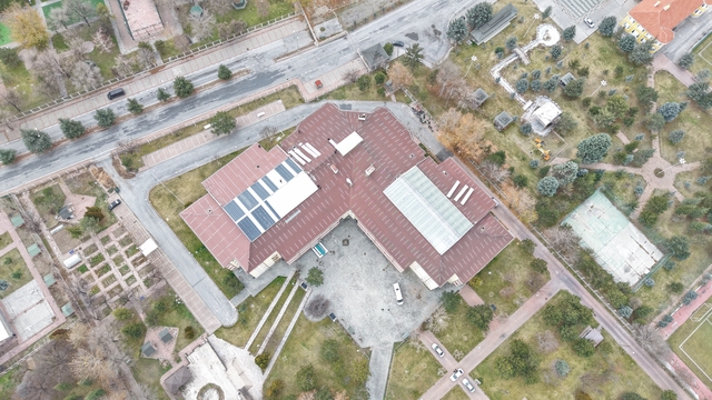 Ulu çınarların yuvası yenileniyor