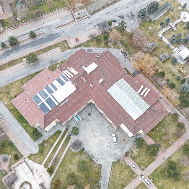 Ulu çınarların yuvası yenileniyor