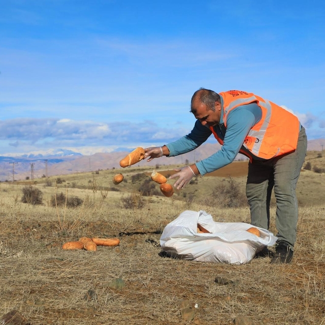 Elaızığ'da doğaya yem bırakıldı