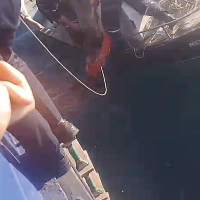 Feribottan atlayan kişiyi Gestaş personelleri ve balıkçılar kurtardı