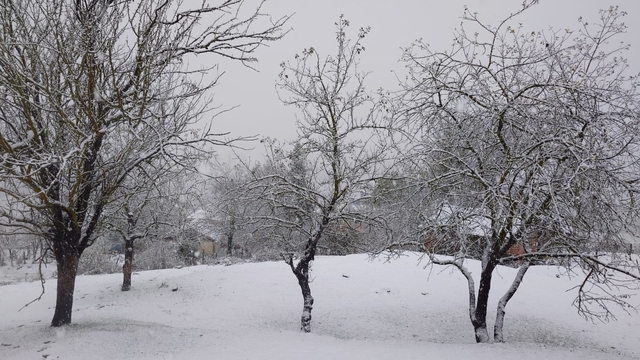 Samsun'un Asarcık ilçesine mevsimin ilk karı düştü