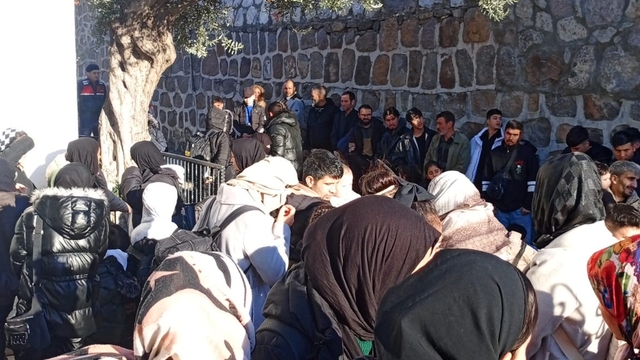 Bodrum'da 82 kaçak göçmen yakalandı