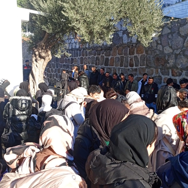 Bodrum'da 82 kaçak göçmen yakalandı