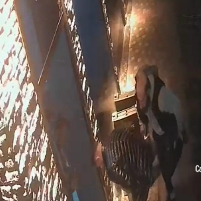 Kayseri'de esnaf boğazına şeker kaçan çocuğu heimlich manevrasıyla kurtardı...