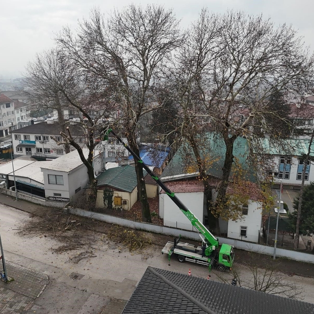 Düzce'de ağaçlara kış bakımı
Sürücü ve yaya güvenliği için çalışma gerçekle...