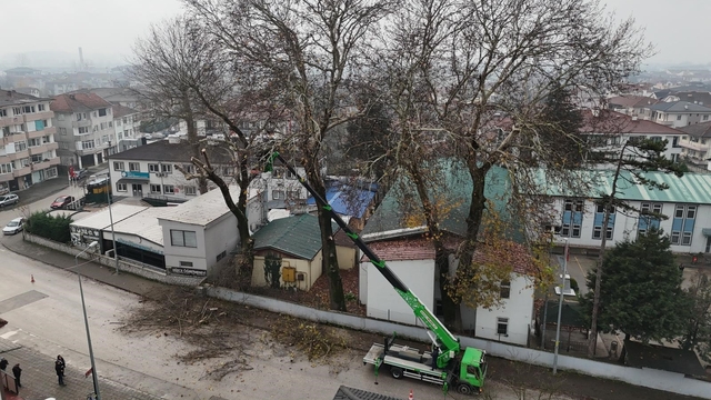 Düzce'de ağaçlara kış bakımı
Sürücü ve yaya güvenliği için çalışma gerçekleştiriliyor