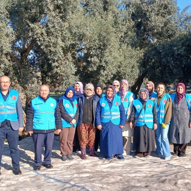 Yatağan'da zeytin hasadı ve bereket duası yapıldı
