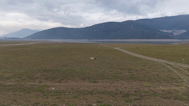 Bursa'da bir göl daha yok oluyor...
Bursa Ovası'nın tarımda can damarı olan ve Uludağ'dan beslenen Gölbaşı göleti sulak alan özelliğini kaybetmek üzere