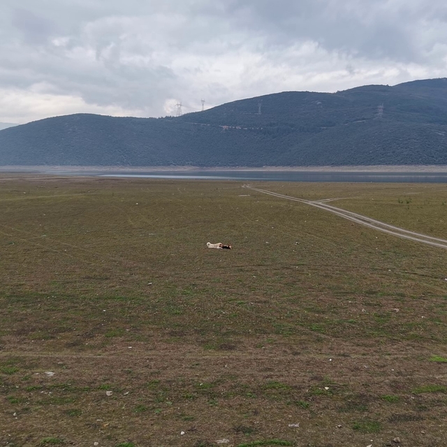 Bursa'da bir göl daha yok oluyor...
Bursa Ovası'nın tarımda can damarı olan...