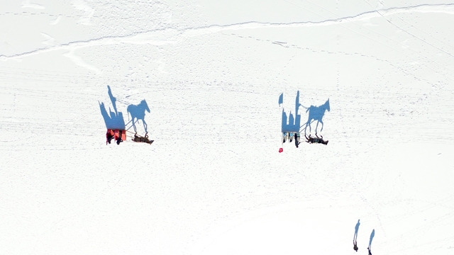 Kısmen donan Çıldır Gölü'nde atlı kızak heyecanı başladı