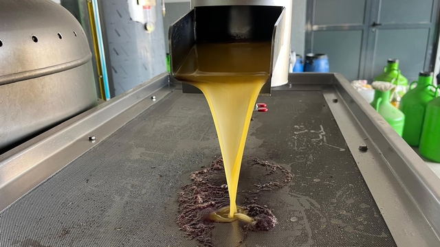 Kara meyve altın sıvıya dönüşüyor