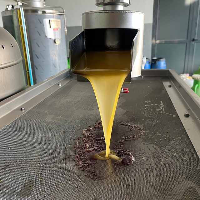 Kara meyve altın sıvıya dönüşüyor