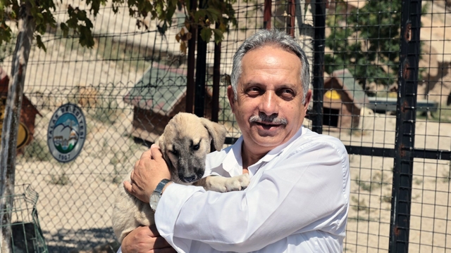 Talas Patievi Doğal Yaşam Alanı 500 can için seçkin bir yuva