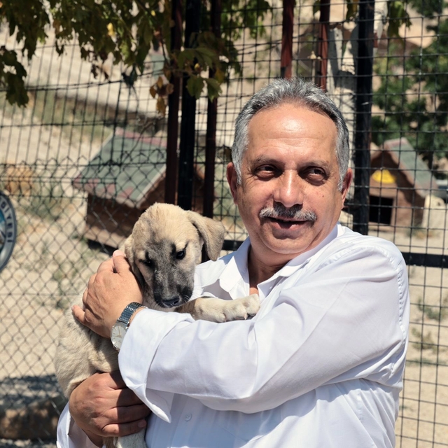 Talas Patievi Doğal Yaşam Alanı 500 can için seçkin bir yuva