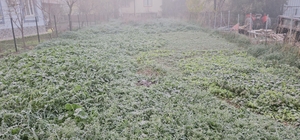 Balıkesir'de sis ve soğuk hava etkili oldu