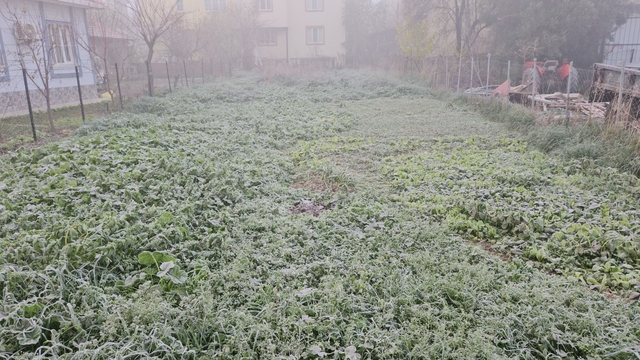 Balıkesir'de sis ve soğuk hava etkili oldu