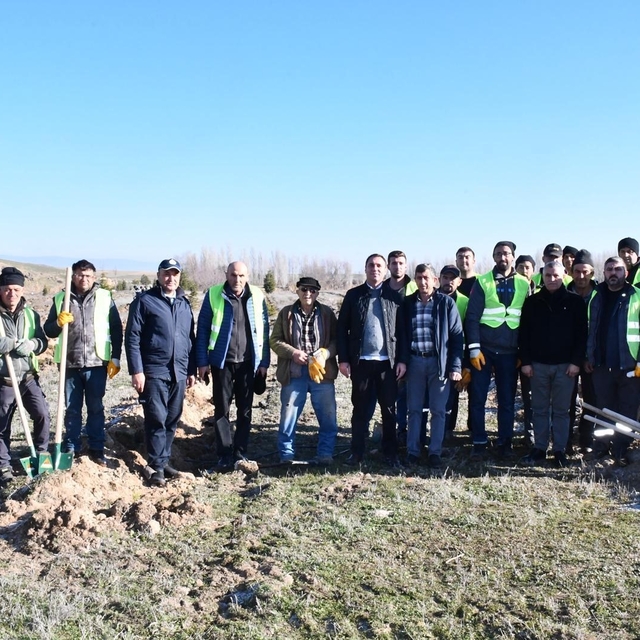 Beylikova Belediyesi bin adet karaçam fidanı dikti