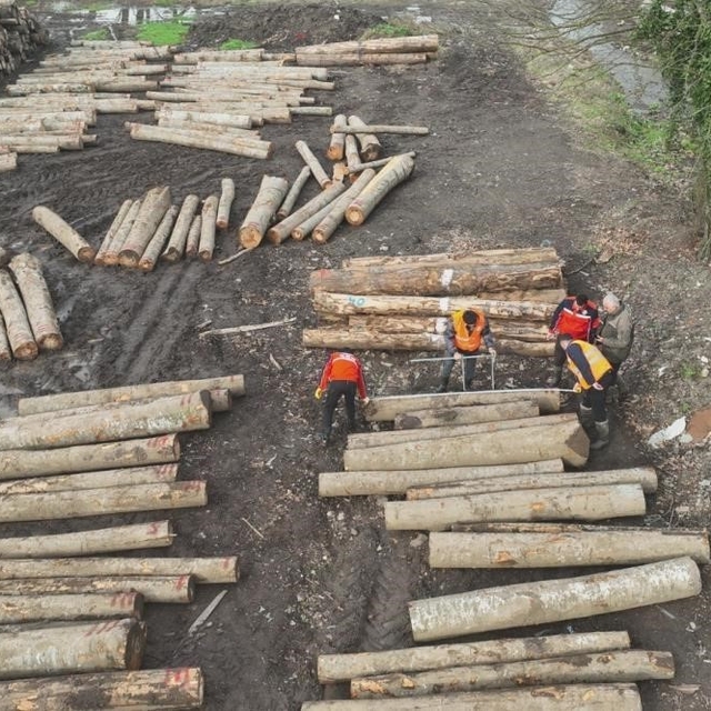 Düzce'den 22 bin 310,95 ton orman ürünü ihraç edildi