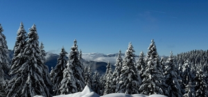 Ordu'da 2 bin rakımlı yaylada kar manzarası