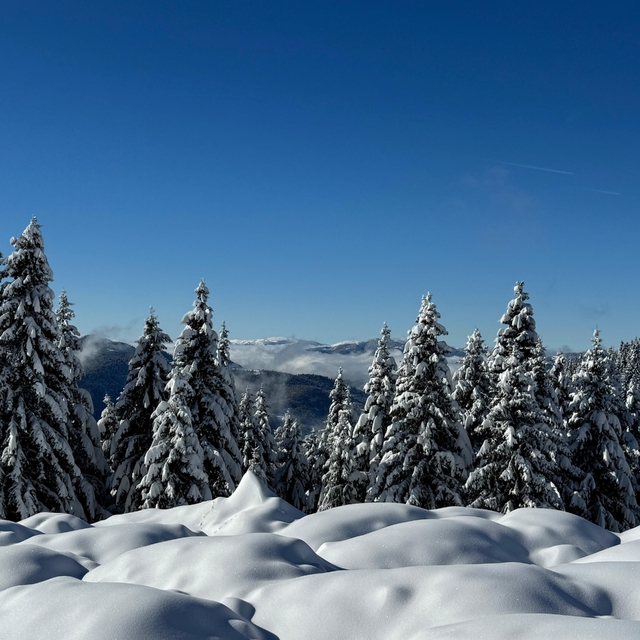 Ordu'da 2 bin rakımlı yaylada kar manzarası
