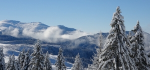 Ordu'da kartpostallık kar manzaraları