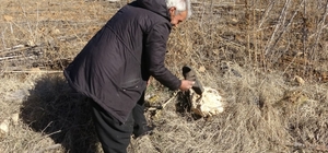 Çamurlu ayakkabısını çıkarıp markette alışveriş yapmıştı: "Yine olsa yine yaparım"