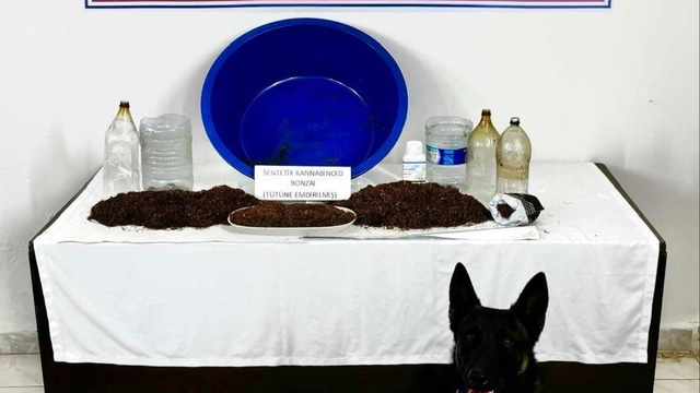 Çankırı'da uyuşturucu operasyonu: 1 gözaltı